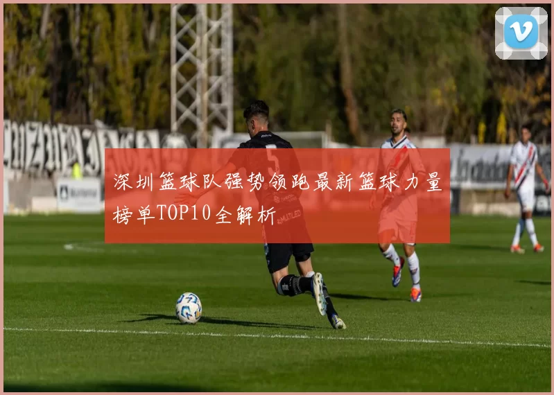 深圳篮球队强势领跑最新篮球力量榜单TOP10全解析