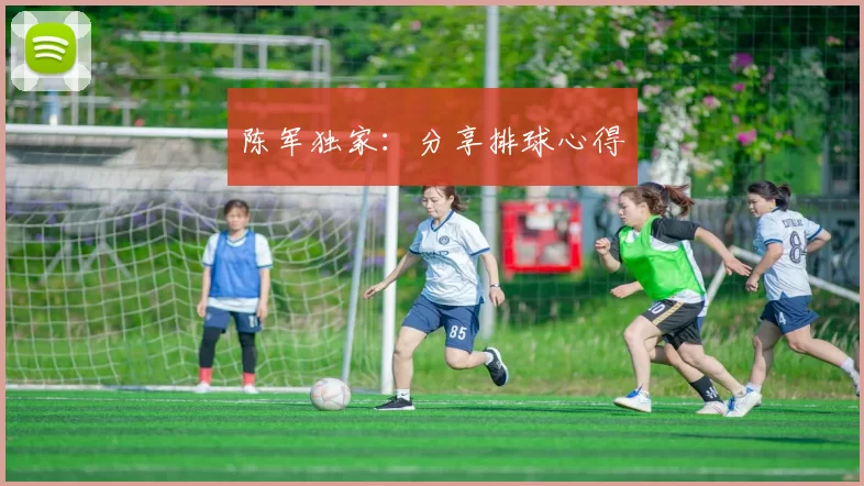 陈军独家：分享排球心得